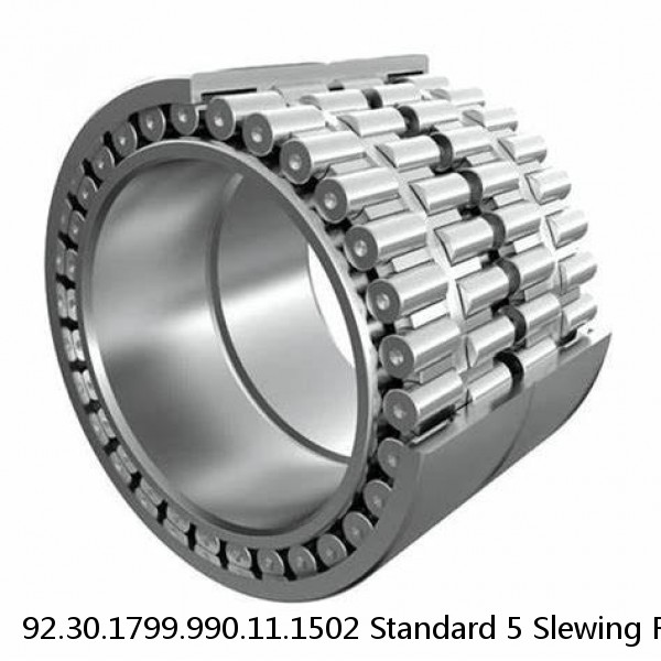 92.30.1799.990.11.1502 Standard 5 Slewing Ring Bearings