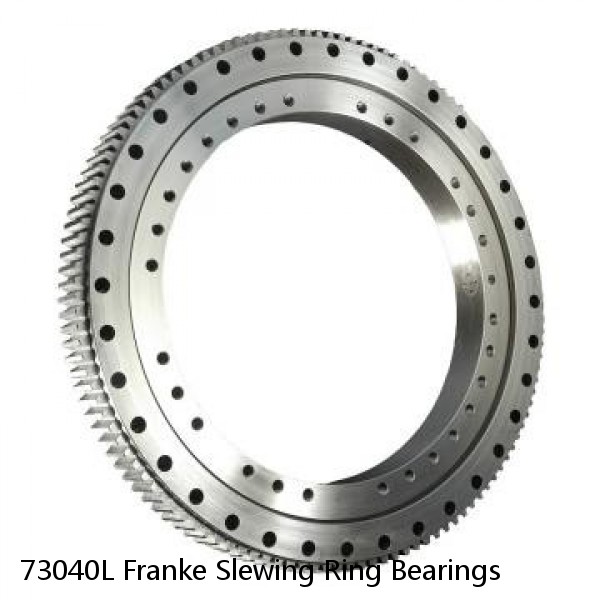 73040L Franke Slewing Ring Bearings #1 small image