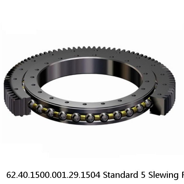 62.40.1500.001.29.1504 Standard 5 Slewing Ring Bearings