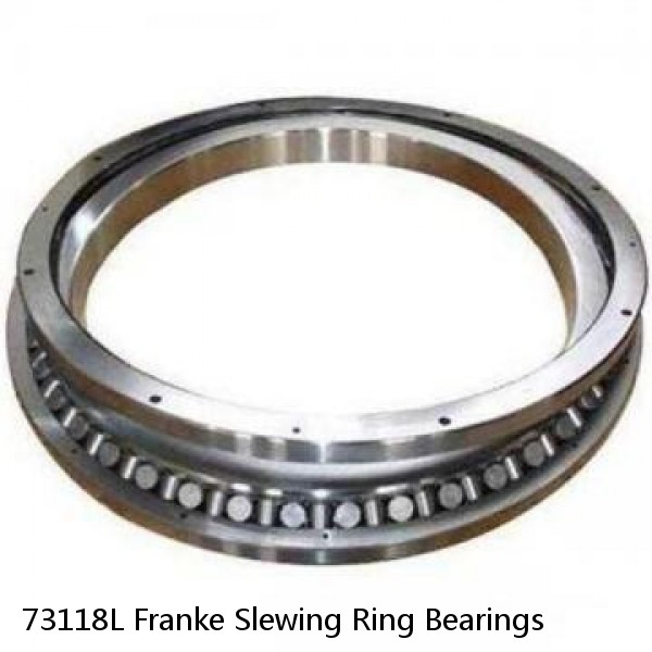 73118L Franke Slewing Ring Bearings #1 small image