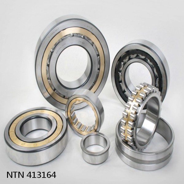 413164 NTN Cylindrical Roller Bearing