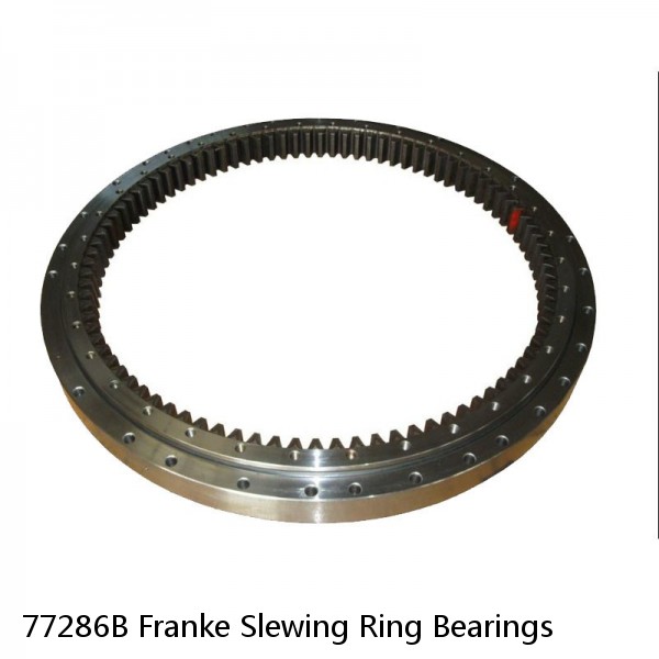 77286B Franke Slewing Ring Bearings