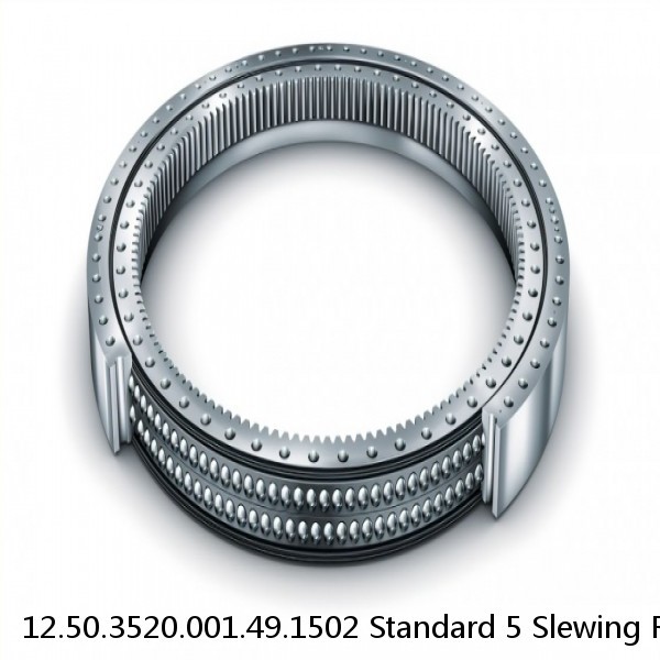 12.50.3520.001.49.1502 Standard 5 Slewing Ring Bearings #1 image