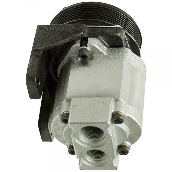 Daikin V15SASJBRX-95S3 piston pump #1 image