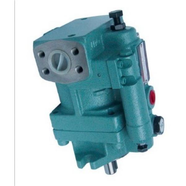 Denison PV15-1L1B-C00 Variable Displacement Piston Pump #1 image