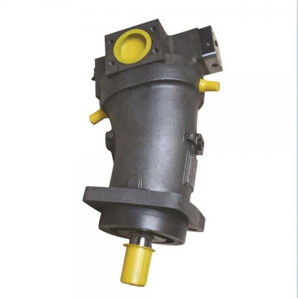 Denison PV20-2L1D-F02 Variable Displacement Piston Pump #1 image