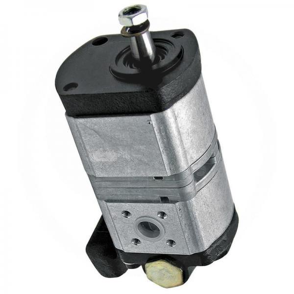 Denison PV10-1R1C-L00 Variable Displacement Piston Pump #1 image