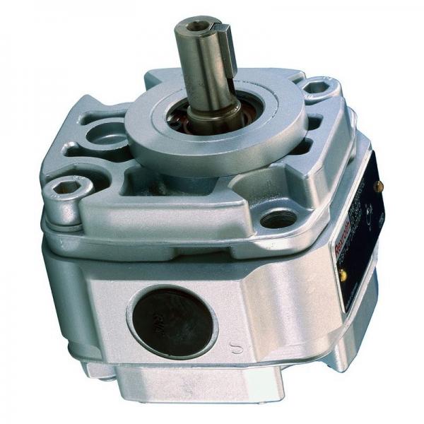 Denison PV10-2R1B-C00 Variable Displacement Piston Pump #1 image