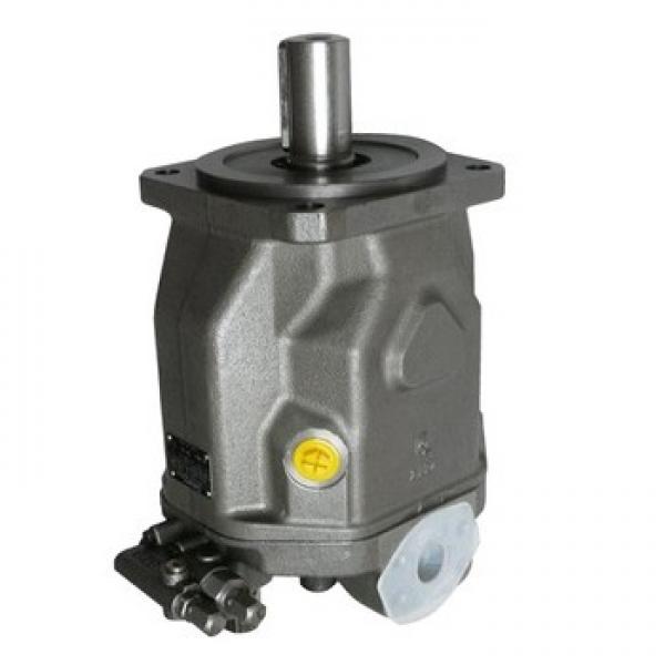 Vickers PVB5-REW-20-CC-11-PRC Axial Piston Pumps #1 image