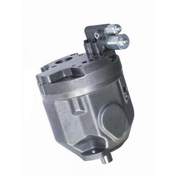 Yuken PV2R12-10-53-L-RAA-40 Double Vane Pumps #1 image