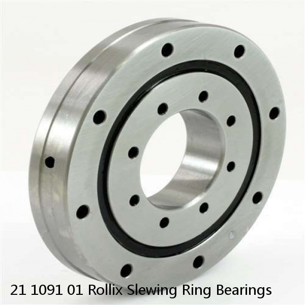 21 1091 01 Rollix Slewing Ring Bearings #1 image