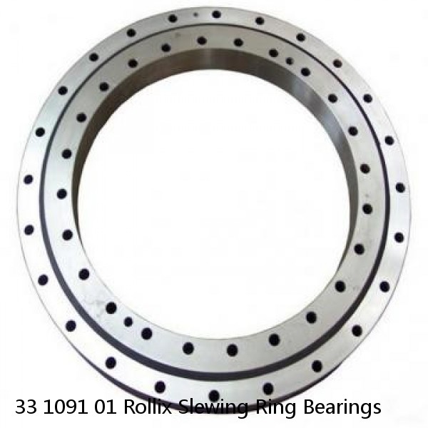 33 1091 01 Rollix Slewing Ring Bearings #1 image