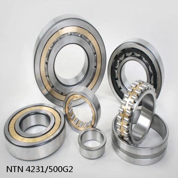 4231/500G2 NTN Cylindrical Roller Bearing #1 image